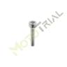 Болт специальный M6x25mm DIN 6921 10.9